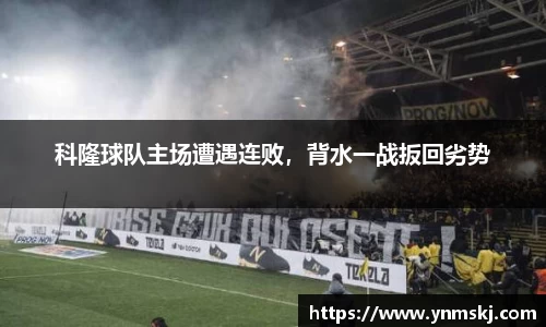 BB贝博登录入口