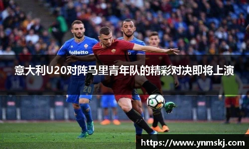 BB贝博登录入口