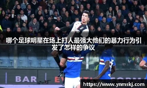 BB贝博登录入口