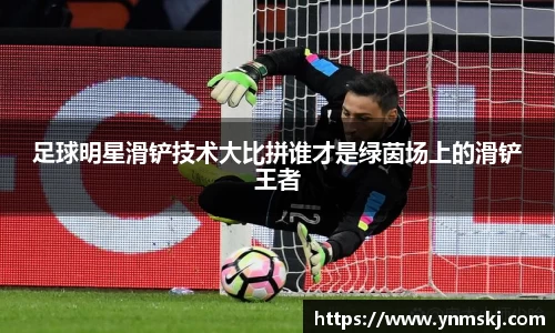 BB贝博登录入口