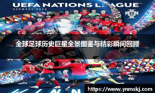 BB贝博登录入口